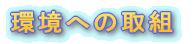 ���i�ē�