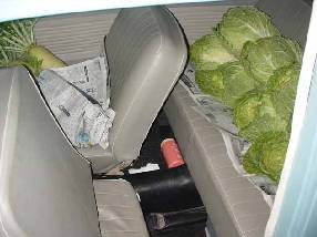 �����ɂ�������̂��y�Y�𒸂��܂����B���΂炭���ؓ�A�Е������������ł��B