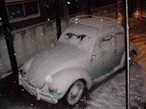 ���[�Q�����ቻ�ςł�