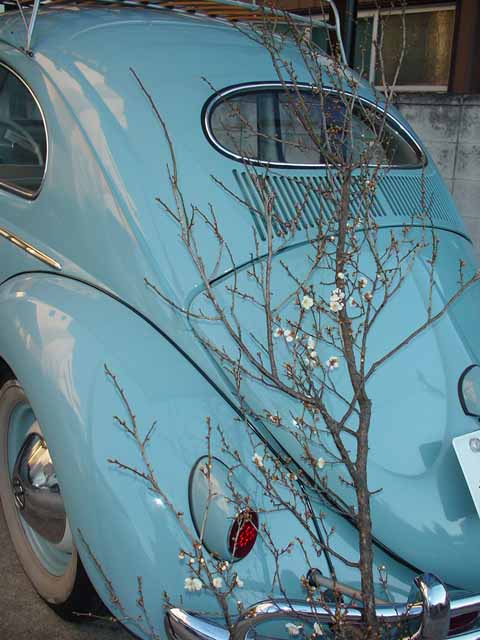 �u�~��oval�v