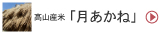 月あかね