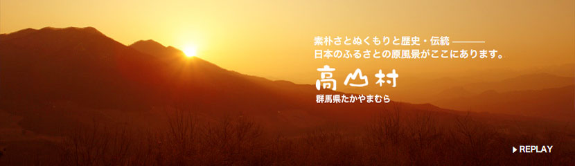 代替画像