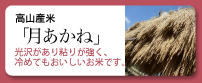 月あかね