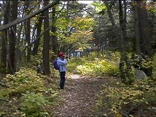 Where is the MATSUTAKE?