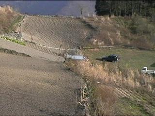 Disco and CHIJI stone wall