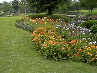 Good area one of the park