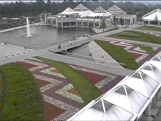 Over view of the park