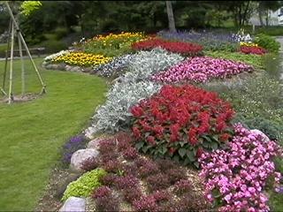 Good area one of the park