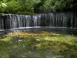 SHIRAITO cascade