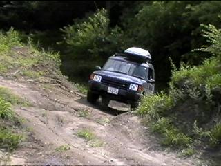 Disco in Off-Road Park